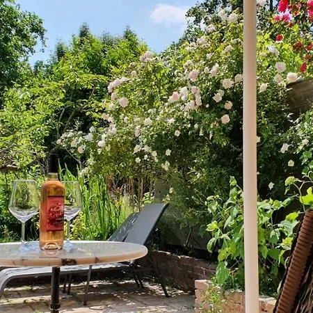 公寓 Verborgen Parel Aan De Rotte