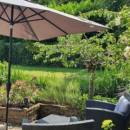 Verborgen Parel Aan De Rotte 鹿特丹