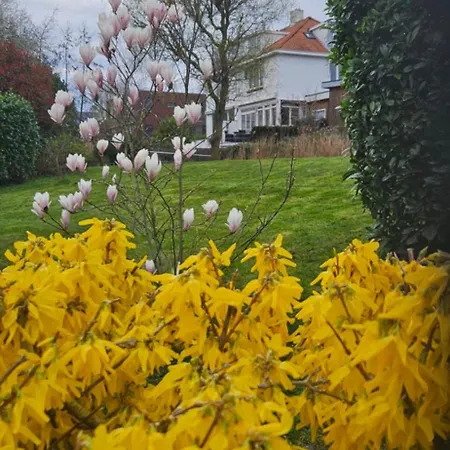 Verborgen Parel Aan De Rotte 公寓 鹿特丹