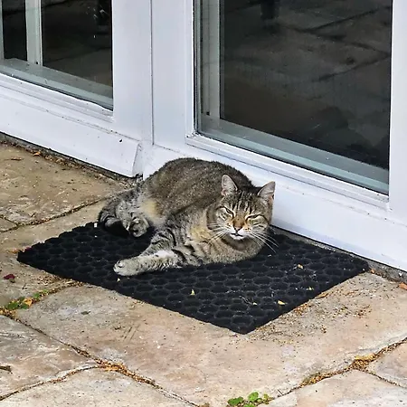 Verborgen Parel Aan De Rotte 公寓