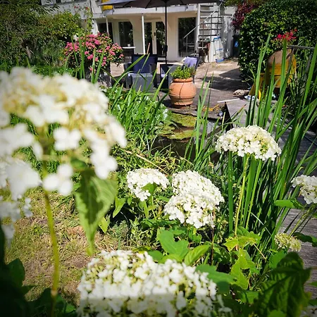 Verborgen Parel Aan De Rotte 鹿特丹