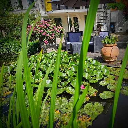 Verborgen Parel Aan De Rotte 公寓 鹿特丹