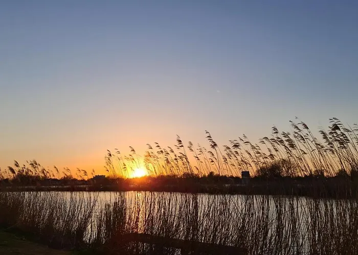 Lägenhet Verborgen Parel Aan De Rotte Rotterdam