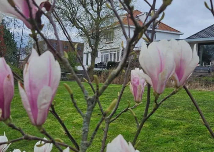 Verborgen Parel Aan De Rotte *