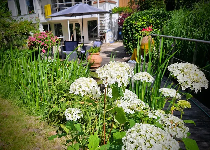 Lägenhet Verborgen Parel Aan De Rotte Rotterdam