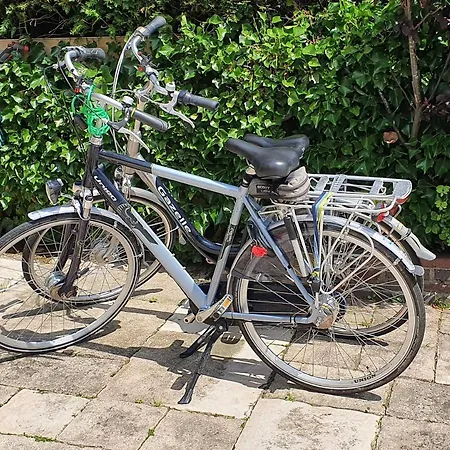 Verborgen Parel Aan De Rotte * Роттердам