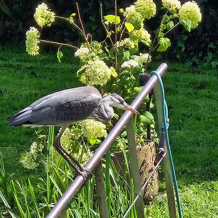 Апартаменты Verborgen Parel Aan De Rotte Роттердам