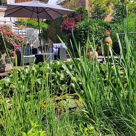 Апартаменты Verborgen Parel Aan De Rotte Роттердам