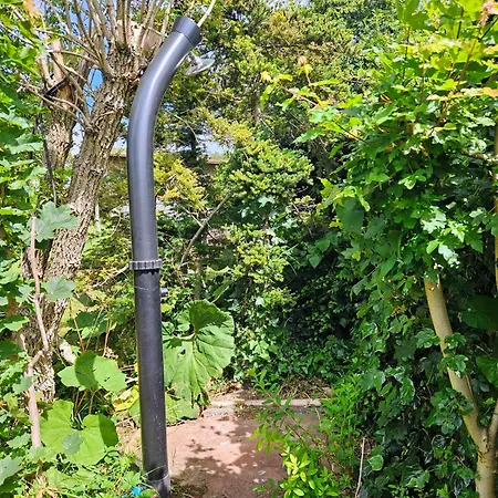 Verborgen Parel Aan De Rotte Rotterdam