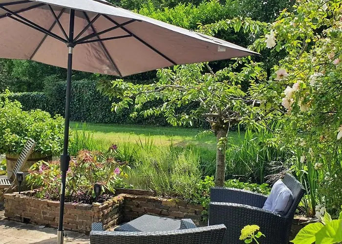 Verborgen Parel Aan De Rotte Роттердам