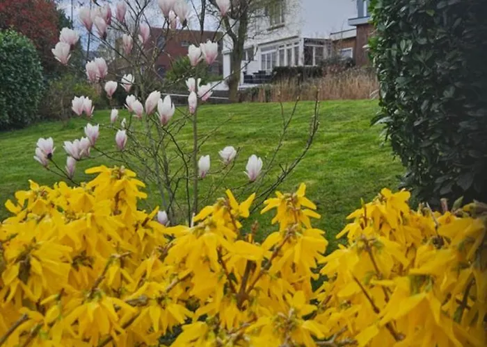 Verborgen Parel Aan De Rotte Apartamento Roterdão