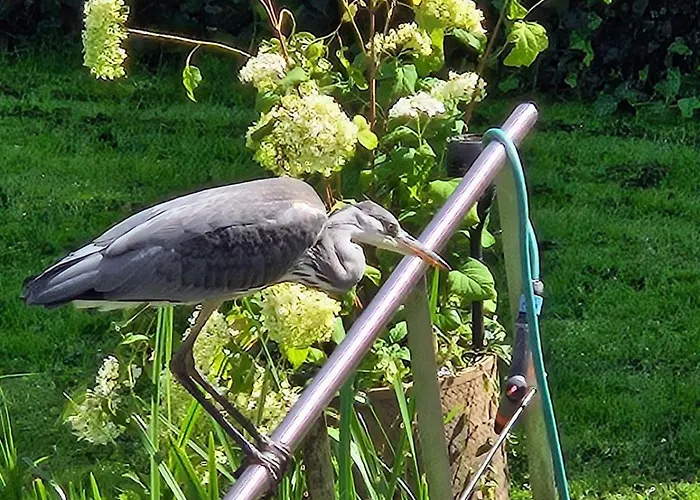Διαμέρισμα Verborgen Parel Aan De Rotte Ρότερνταμ