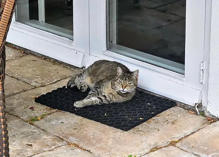 Verborgen Parel Aan De Rotte Apartment