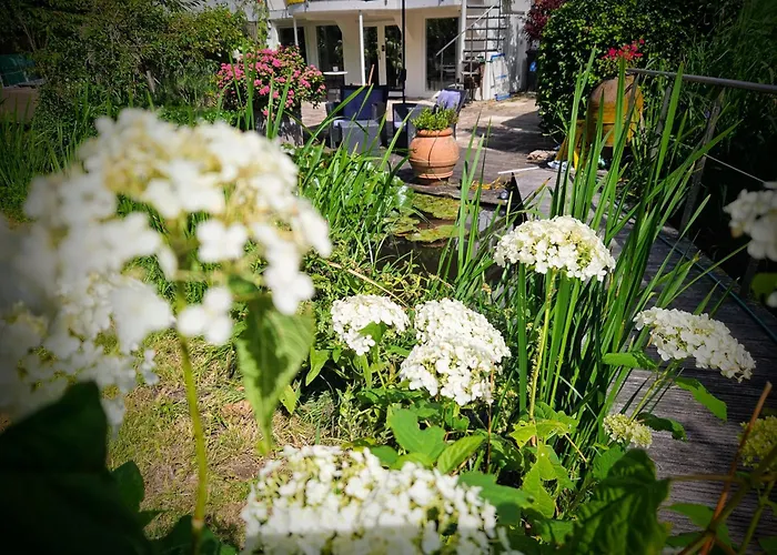 Verborgen Parel Aan De Rotte Rotterdam