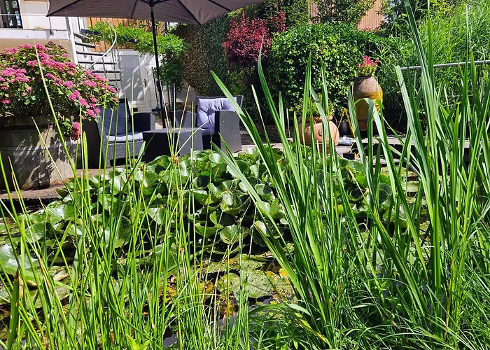 Апартаменты Verborgen Parel Aan De Rotte Роттердам