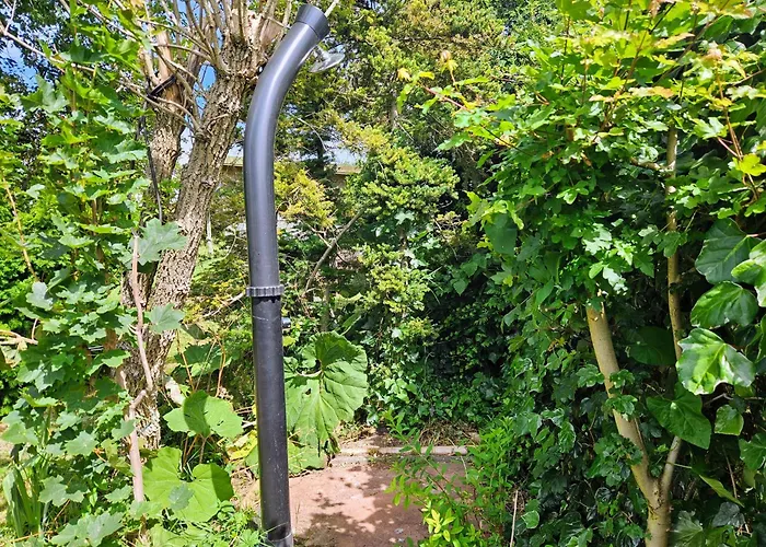 Verborgen Parel Aan De Rotte Roterdão