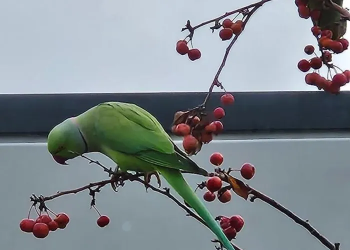 Verborgen Parel Aan De Rotte Apartamento Roterdão