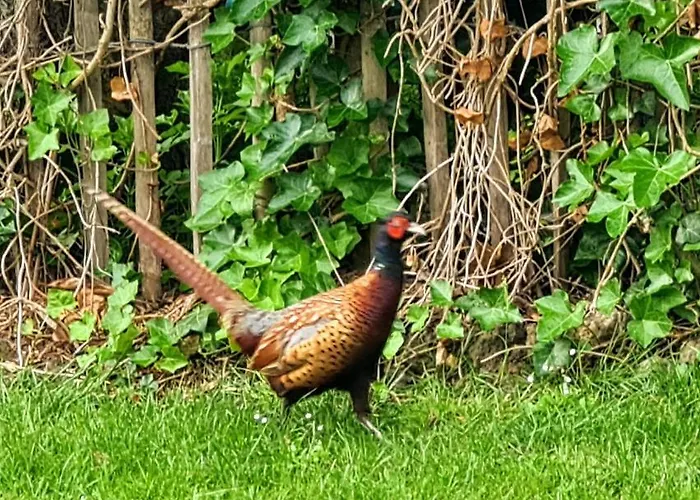Verborgen Parel Aan De Rotte Appartamento