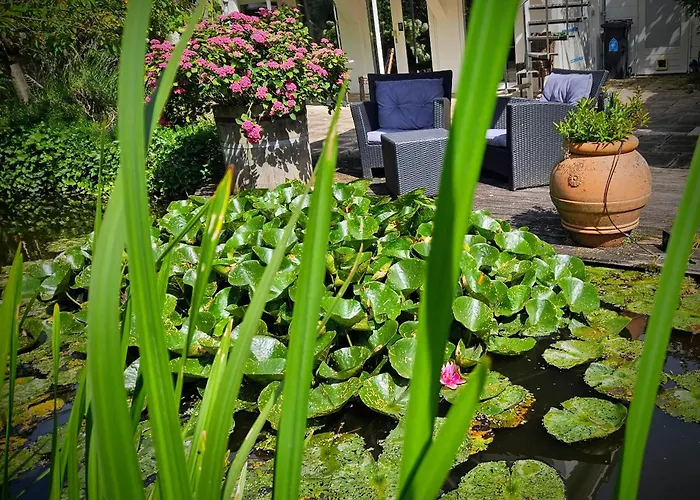 Verborgen Parel Aan De Rotte Appartamento Rotterdam