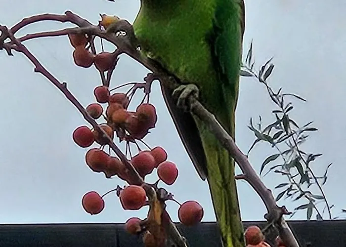 Verborgen Parel Aan De Rotte Appartamento